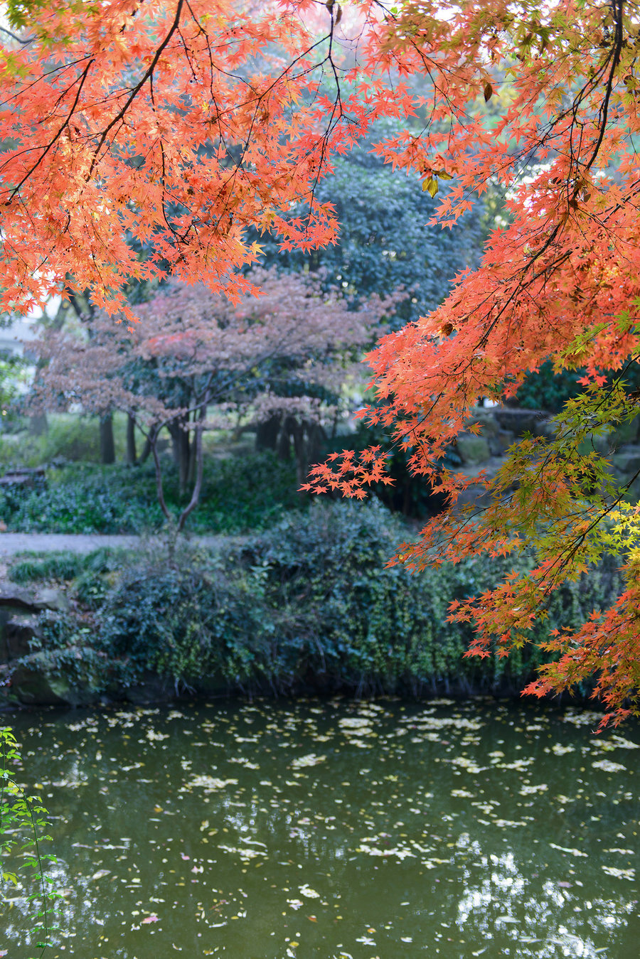 秋霞官网入口，科技潮流引领生活重塑体验
