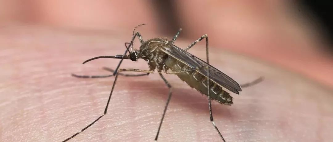 福建最新疫病动态,变化中的学习助力铸就自信与成就的力量