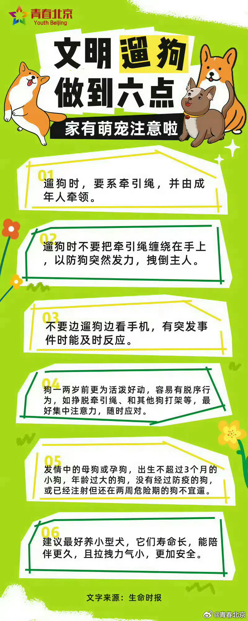 ??最新潮流遛狗方式?