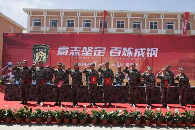 中国最新钢铁发展，机遇与挑战并存的道路探索