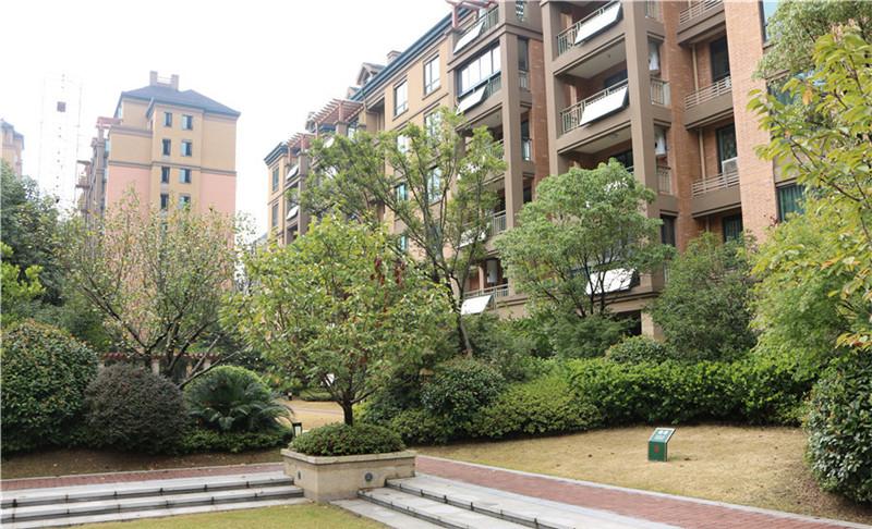 最新番讯与学习变革，自信与成就感的源泉