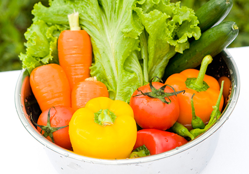 最新点蔬菜，自然美景的旅行探索之旅