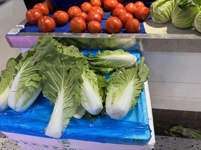 最新点蔬菜,自然美景的旅行探索之旅