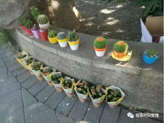 广州最新摆摊热潮,小商机,不容错过!