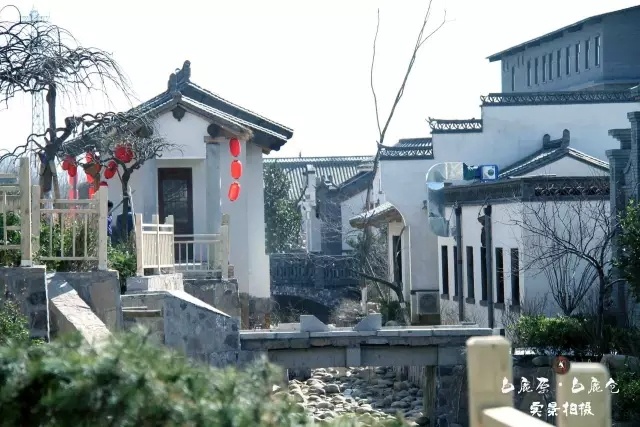 白鹿仓最新发展论述概览