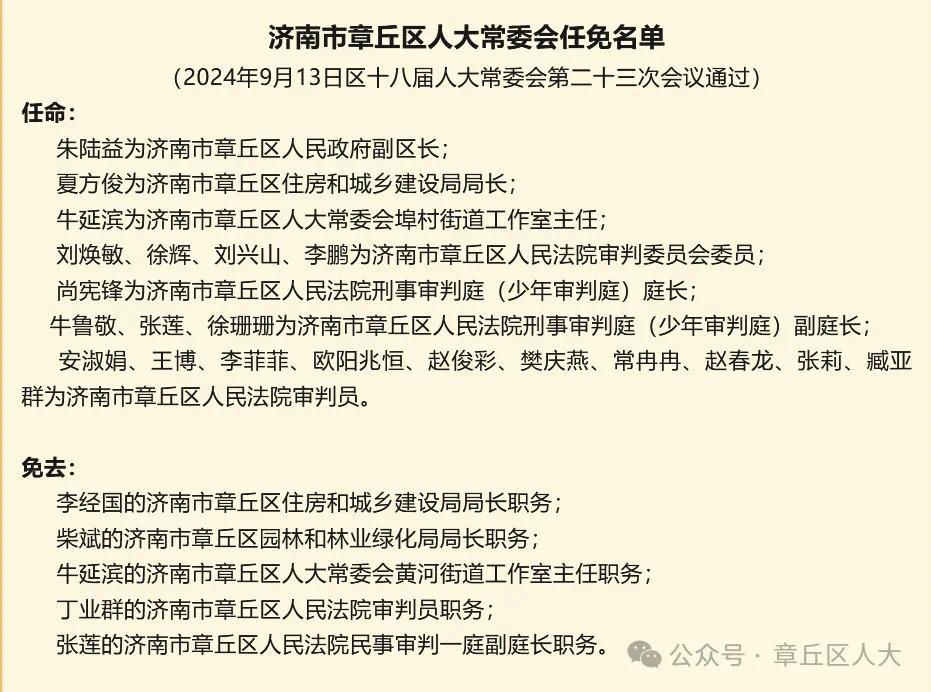 山东任免最新消息,多维度视角下的深度解析