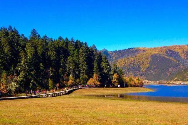 最新云南科技体验游,前沿之旅的精彩之旅