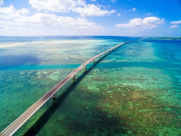 白岛最新探索与发现之旅