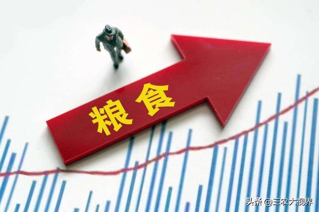 最新粮价走势揭秘,小巷深处的粮食秘境探索