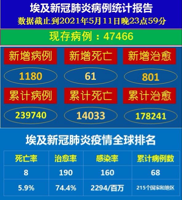 最新疫情数据揭示当下挑战与未来趋势