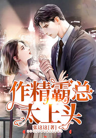 最新免费言情小说,时代的甜蜜回响