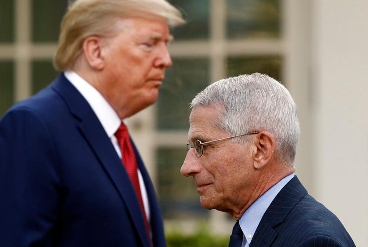 福奇最新,自然美景探险之旅,探寻内心平和与宁静的旅程