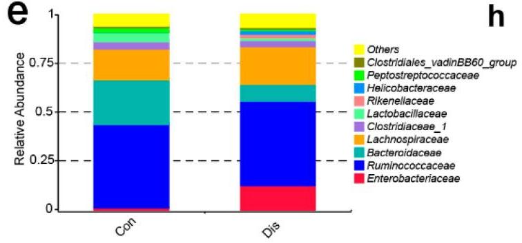 病毒炎最新动态,背景、重要事件与地位深度探讨