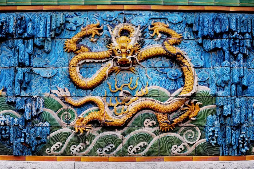 探索龙龙，未知世界的魅力与特色揭秘