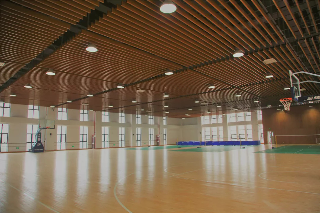 最新篮球馆，友情与欢乐的碰撞地，尽享篮球激情