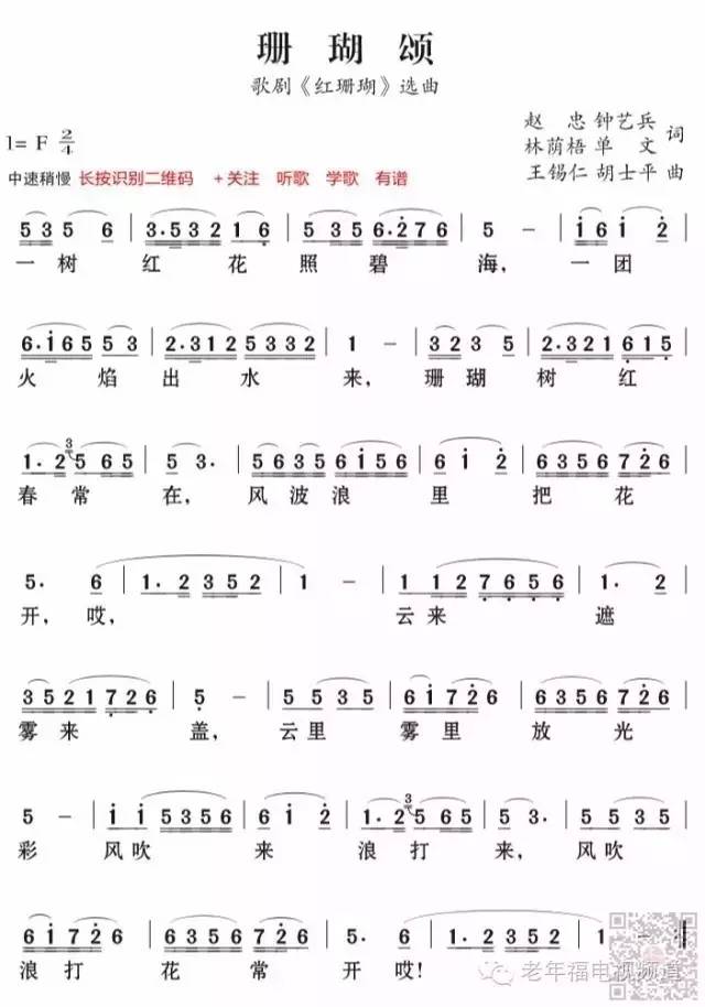 最新珊瑚颂,小巷中的隐秘宝藏探秘