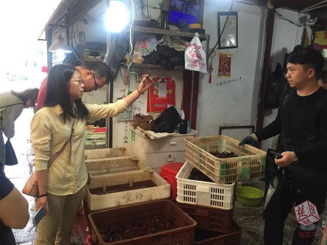 科技革新引领未来,智能虾产品走势及新潮流展望