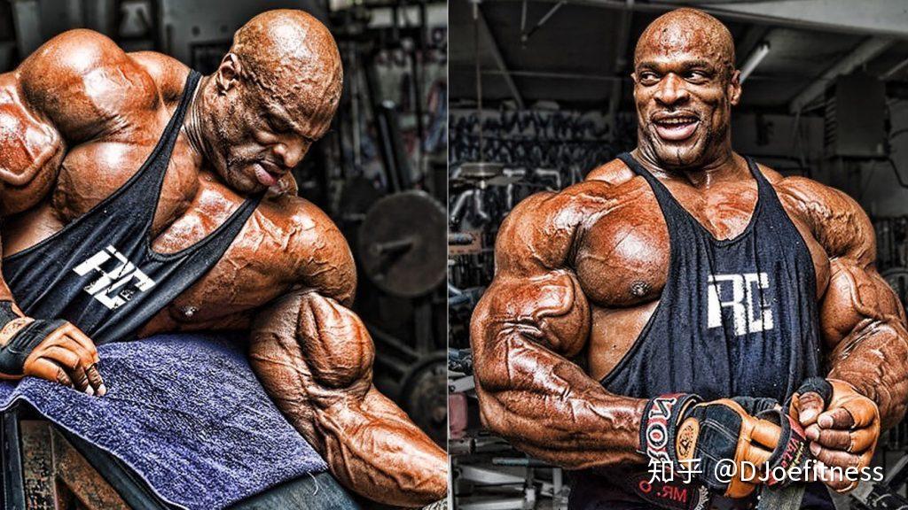 科尔曼最新指南,任务完成与技能学习步骤攻略