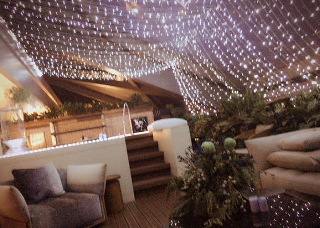 天台宠物新潮探索,最新趋势与发展