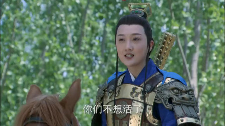 唐朝血刃最新探寻之旅,一场寻找内心平静的冒险