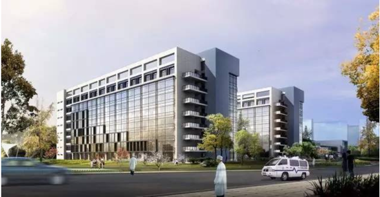 浙医最新，历史背景、重大事件与当代地位的探究