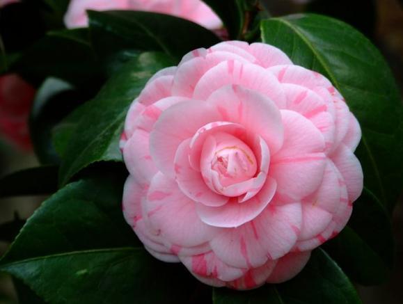 最新8省之旅,探寻自然美景,寻觅内心平和与宁静