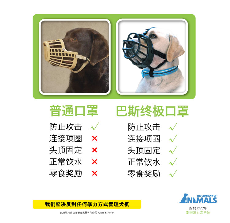 最新狗狗口罩,选购、使用与适应的详细指南