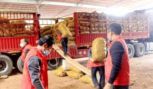 最新支援武汉,团结与力量的汇聚之光