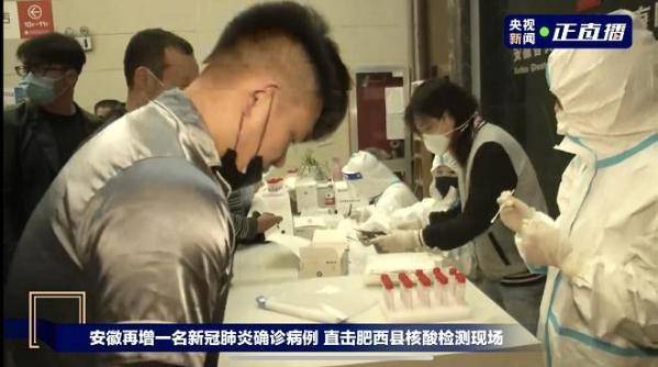 肥西疫情下的自然探索之旅,寻找内心的宁静与平和