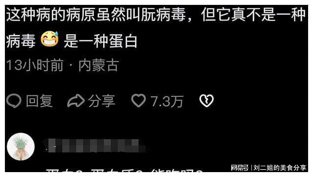 巷弄深处的独特风味,病毒最新评论与观点分享