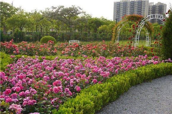 上海最新街道,多维视角下的城市发展与观点碰撞