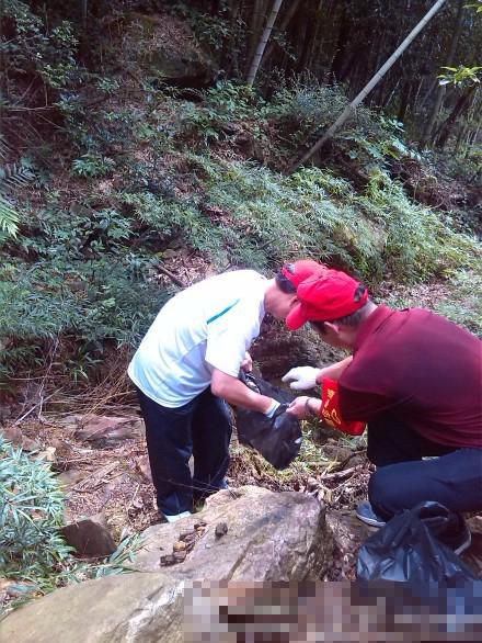 环保新趋势,捡垃圾行为及其案例解析