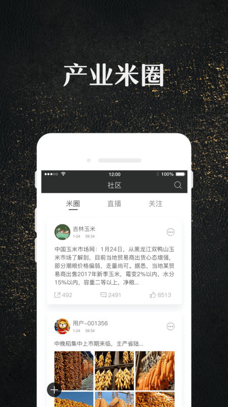 玉米最新导航引领你走进金黄的未来世界!