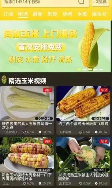 玉米最新导航引领你走进金黄的未来世界!