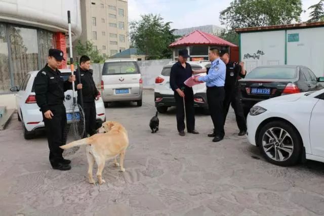 恶犬最新牛仔,宝藏小店的神秘之旅